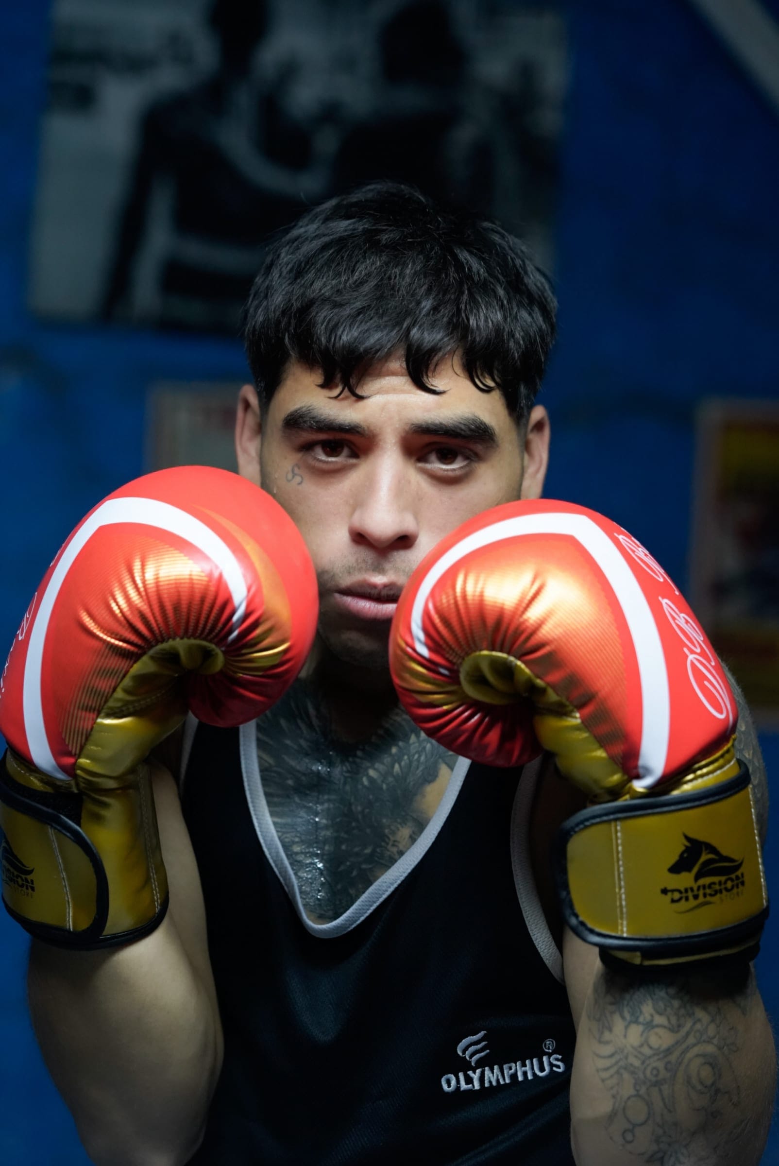 Boxeador con guantes rojos en guardia, mirando a cámara